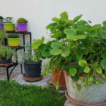 Ferienhaus Ca' Del Mate *